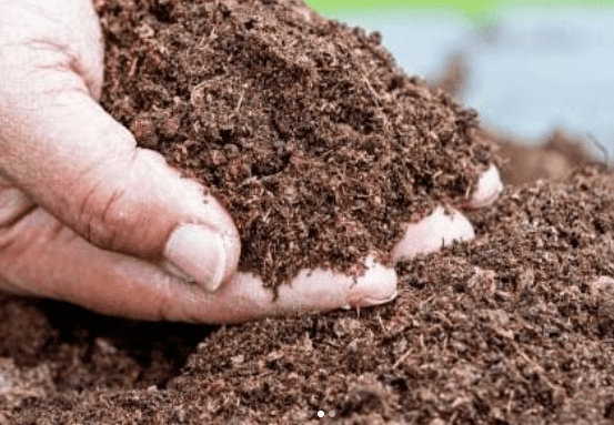 Why Use Manure for Grass