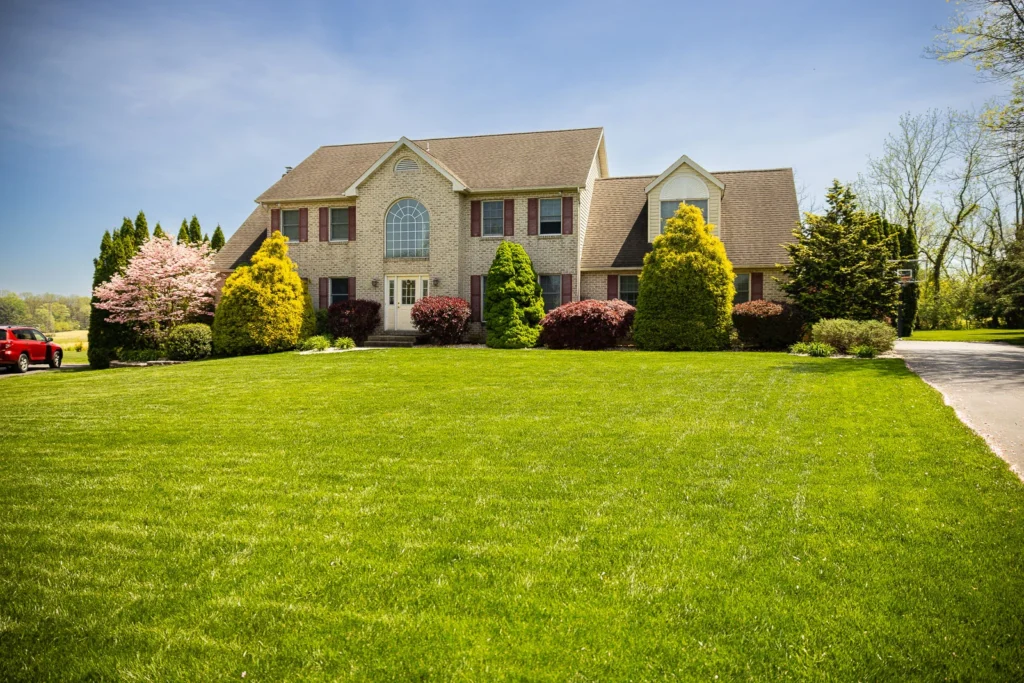 Will Grass Grow in Cow Manure
